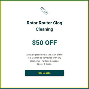 Payless Coupons